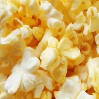 Kiss4Kids Fundraising Gourmet Popcorn